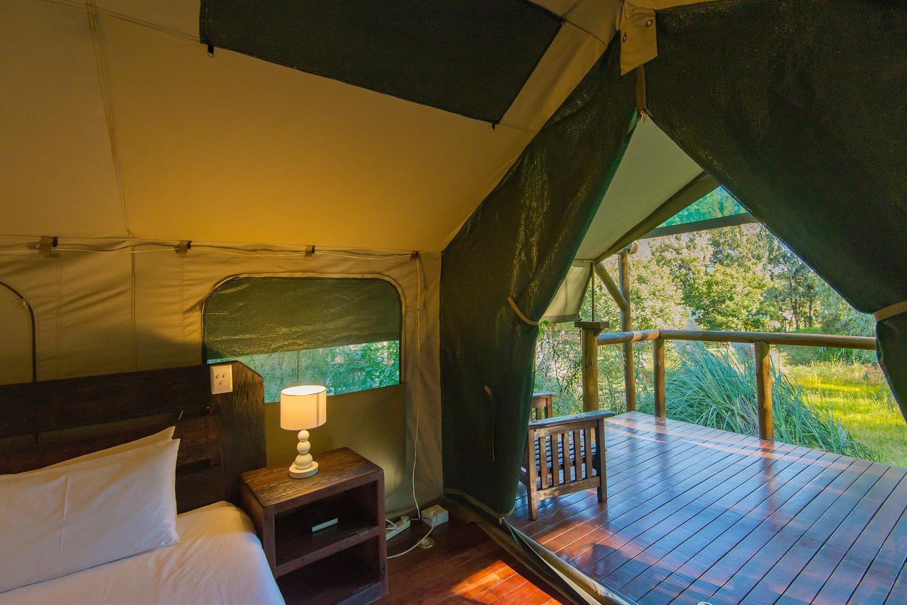 Amadwala Lodge Roodepoort Zimmer foto